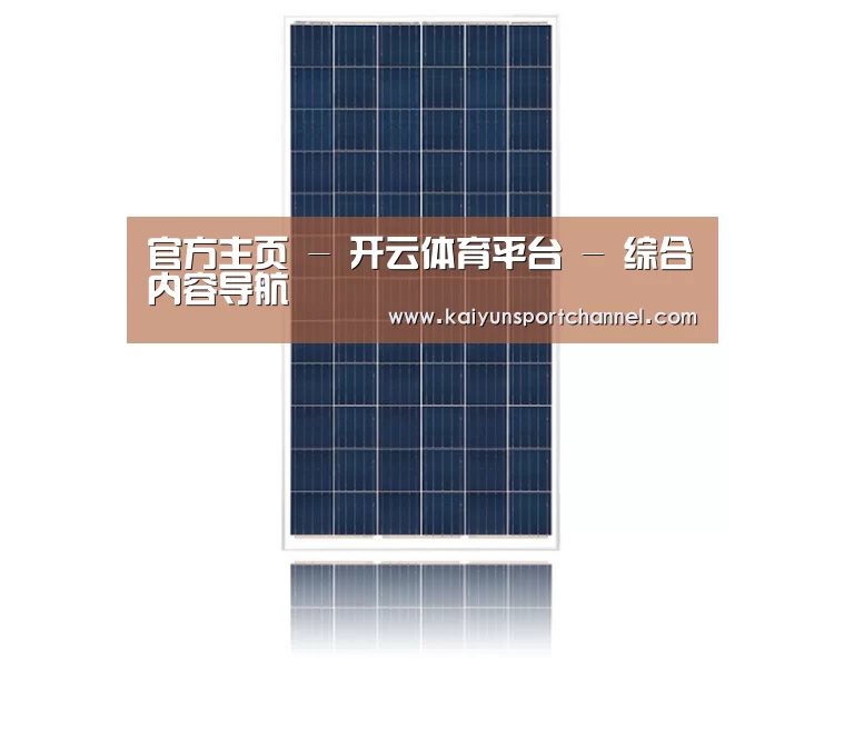 产品名称一