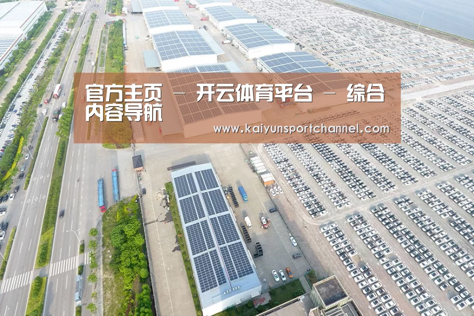 案例展示一