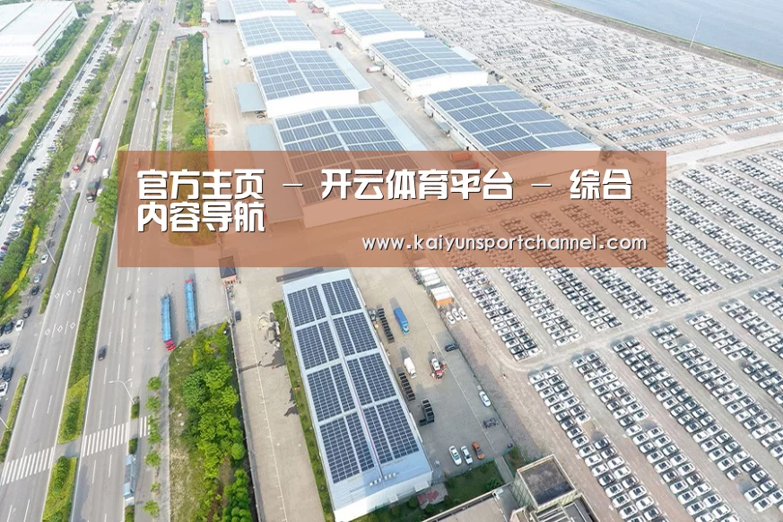 案例展示一