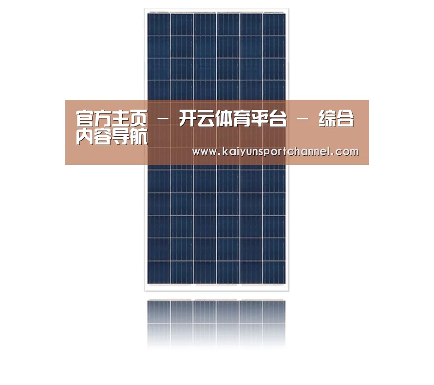 产品名称一