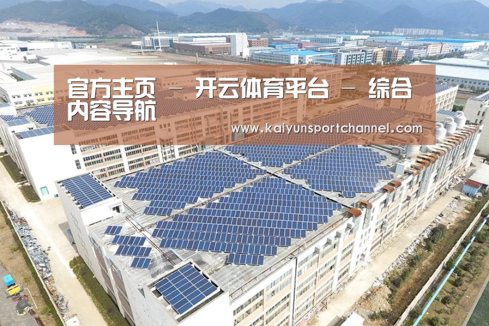 案例展示四