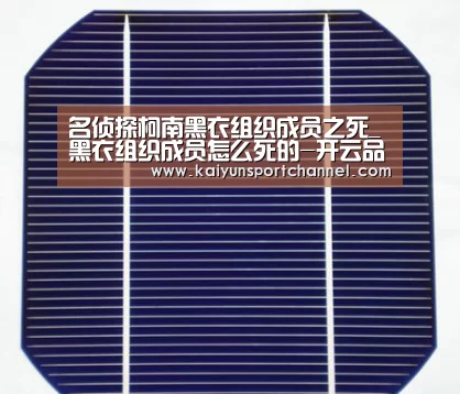 名侦探柯南黑衣组织成员之死_黑衣组织成员怎么死的-开云品牌(图2) 开云体育