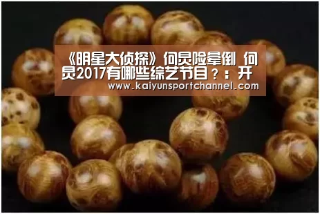 《明星大侦探》何炅险晕倒 何炅2017有哪些综艺节目?:开云官网(图3) 开云体育